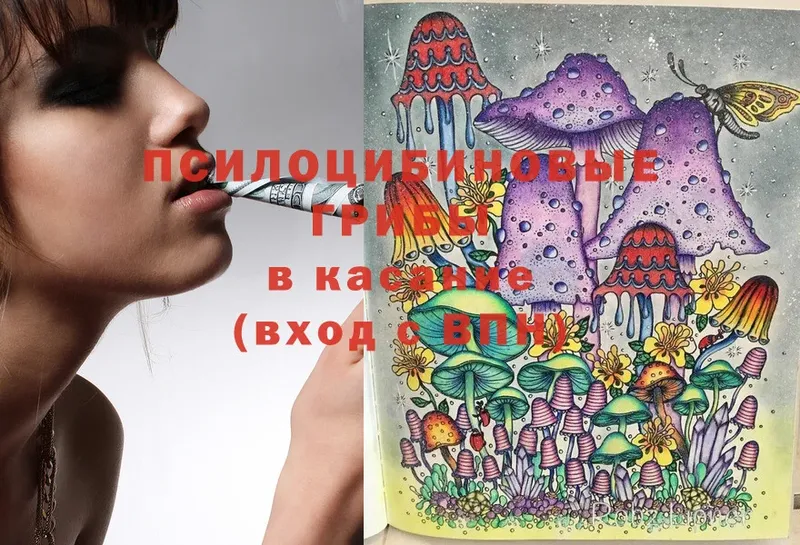 Псилоцибиновые грибы Magic Shrooms  Сортавала 